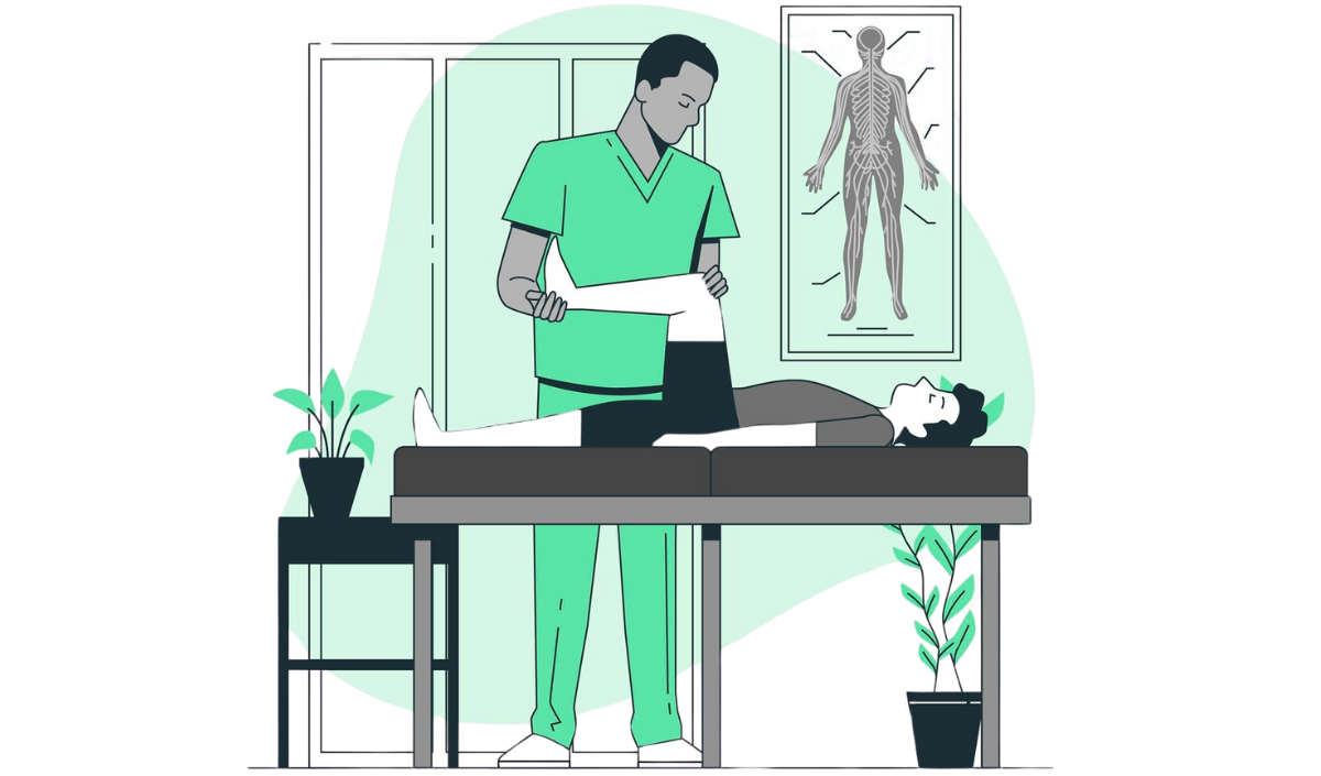 Osteopathy practical training - Graphical representation, MRVV campus